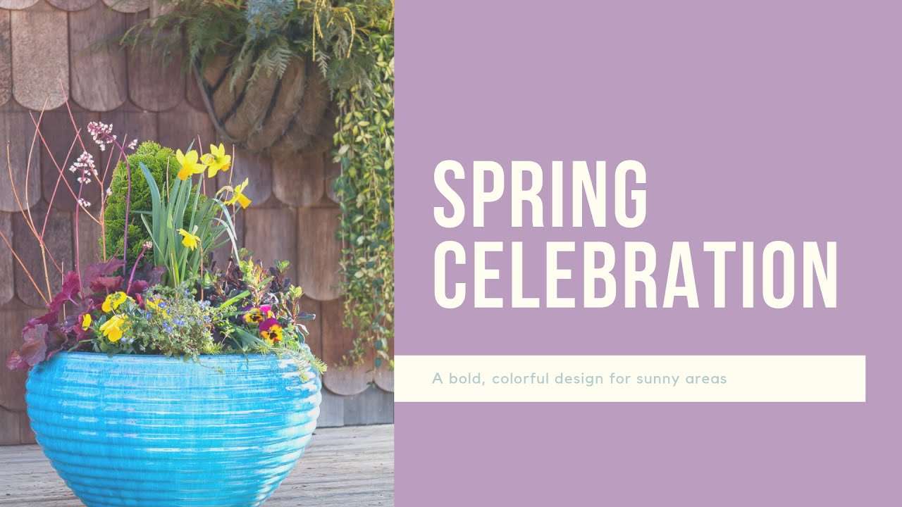 Creative Container Gardens for Spring