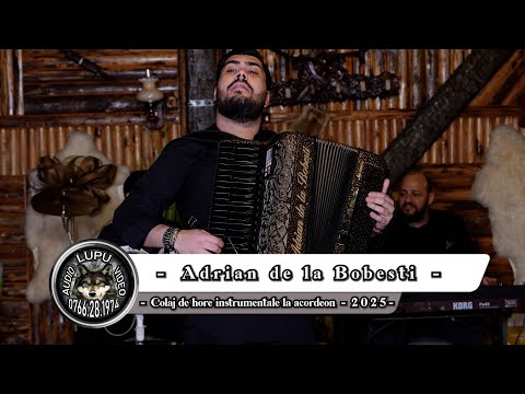 Adrian de la Bobesti - Colaj de hore instrumentale la acordeon - 2025