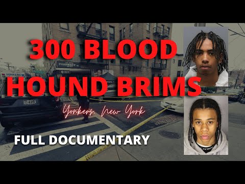 The 300 Bloodhound Brims - The Menaces of Yonkers | 2021 Full Documentary | AI Hound Velly Vellz