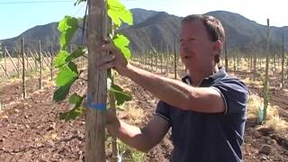 preview picture of video 'La Rioja tierra de Oportunidades - Nonogasta Anguinan 1/3'