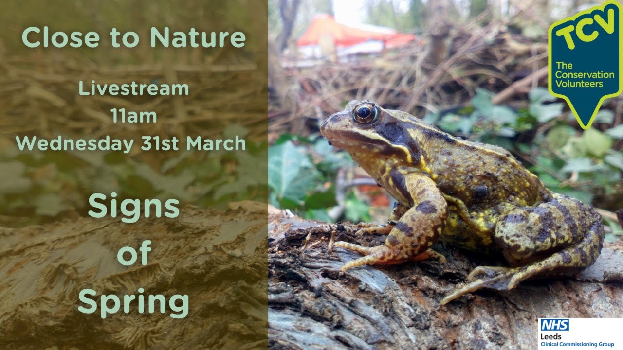 Close to Nature - Signs of Spring