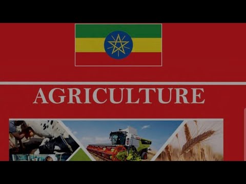 Grade 11 unit 3. Industrial crop production and management  #Sesame 