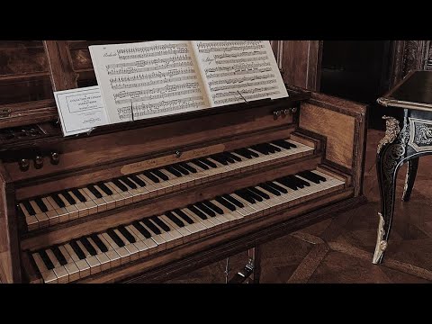 “The Pianist” Freestyle trap beat | Freestyle type beat 2023 | Classical piano hip hop instrumental