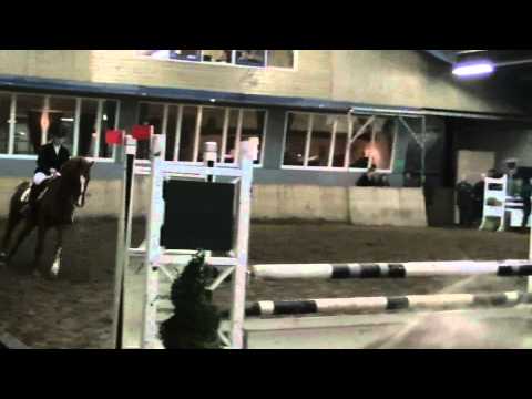 Zorro (Caplan X Calvados) M springen