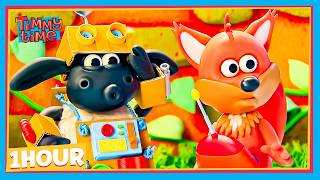 TIMMY AND FINLAY HIT THE BAA-CK ROAD 🦊🐑🎒 | Timmy & Friends