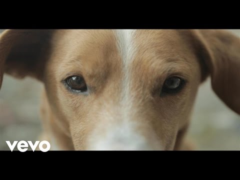 Skampida - All I Wanna