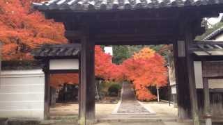 preview picture of video 'The Shuon'an Ikkyuji Temple (酬恩庵一休寺) During the Autumn Season of 2013 in Kyoto!'