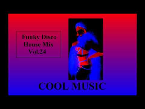 Funky Disco House Mix Vol  24