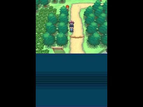 Pokémon White Walkthrough Part 4: Route 2 = Training