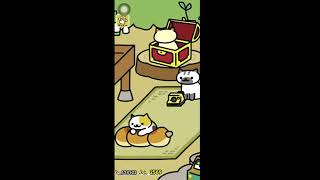 【ねこあつめ２雑談配信】　すけさんラジオ　＃46