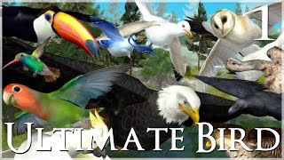 Time to Fly!! 🐦 Ultimate Bird Simulator - Episode #1