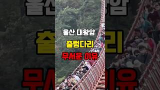 웃긴영상!울산의 명물 대왕암공원 출렁다리가 무서운 이유 #shorts #웃긴영상