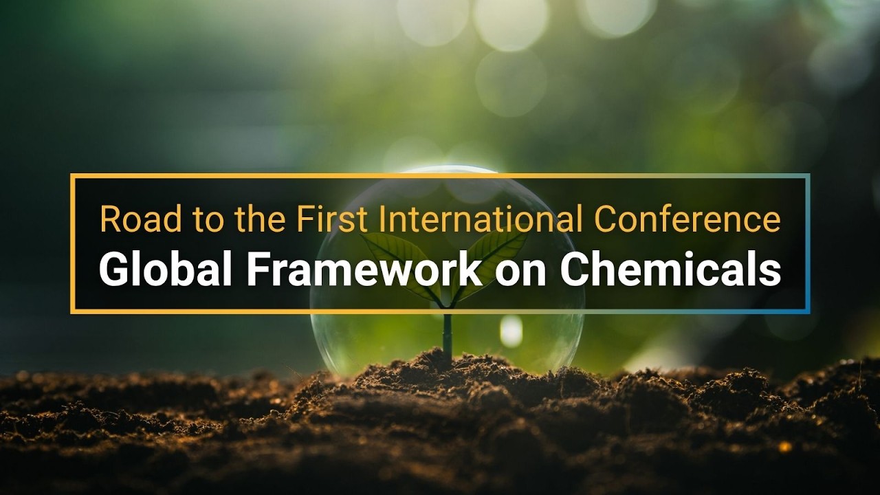 Road to the First International Conference of the Global Framework on Chemicals