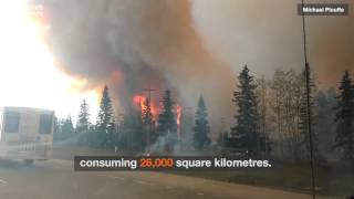 faze tari incendiu mare in Canada