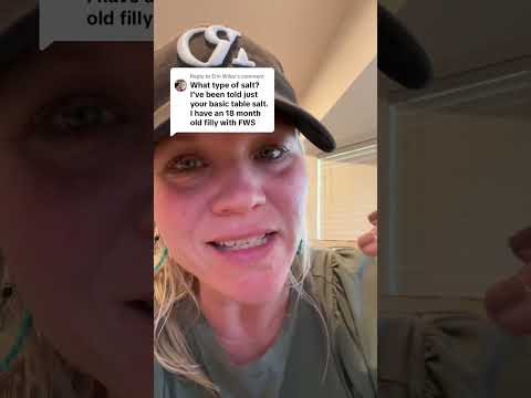 Salt Types For Horses