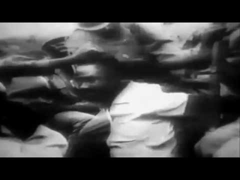 Dice Raw (of The Roots) "Animal"