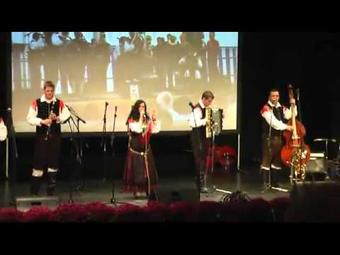 Slovenskih 6 mix koncert - YouTube.flv
