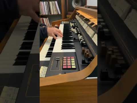 Geisterreiter (Ghostriders in the Sky ) - Amorada - Tico Tico