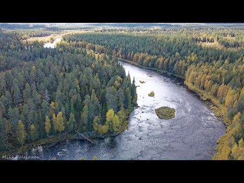 Mustakoski - Saarikoski, Iijoki, Taivalkoski