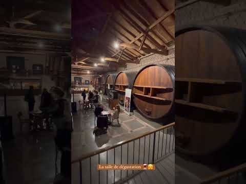 Wine Tasting in Mendoza | Maipú Wine Route 🍷🍇