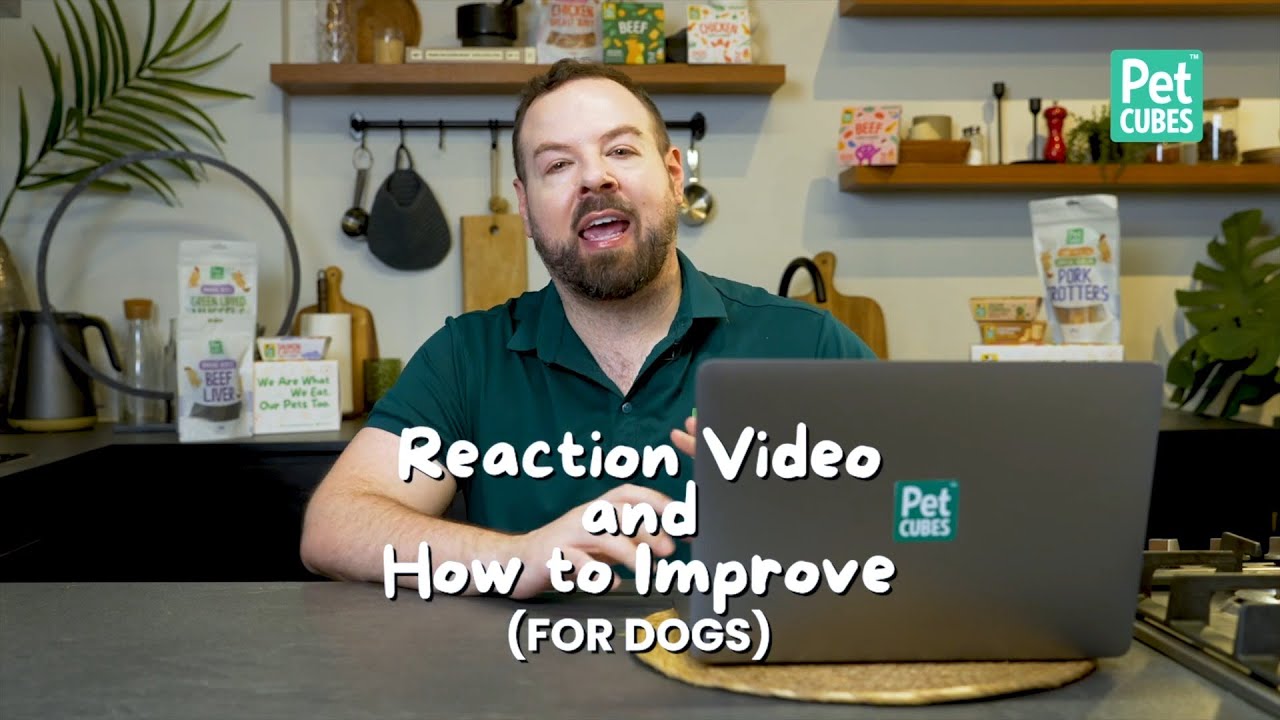 PhD Nutritionist Reacts to Home-Cooked Dog Food (2)