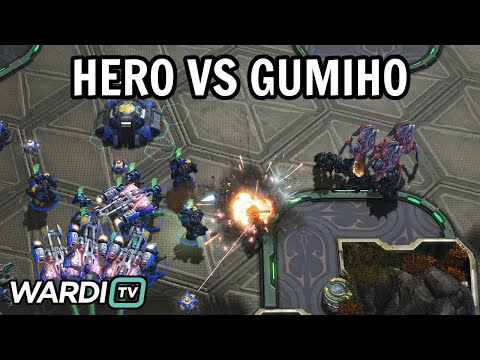 herO vs GuMiho (PvT) - WardiTV Summer Championship 2025 [StarCraft 2]