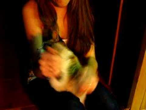 La violeta y la cheta