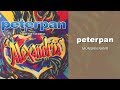 Peterpan Mungkin Nanti Official Audio