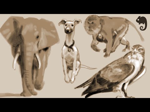Trailer: Speed Sketching Animals with Bobby Chiu