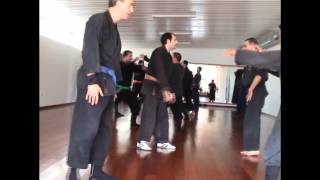 preview picture of video '2005.Oct, Bujutsu Dojo Portugal, Seminar Louriçal (Part 03)'