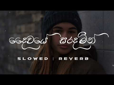 Daiwaye Saradamin | දෛවයේ සරදමින් | Slowed + Reverb | #relax_sr_studio
