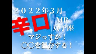 ♊　マジっすか！〇〇を温存しておく！　2022年3月　双子座（ふたご座）