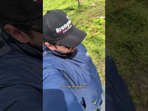 Estudio de caso en finca Villa Karelly, ubicada en el rosal Cundinamarca. 