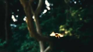 Music video thumbnail preview for Boards of Canada - Olson (Official Music Video) by Boards of Canada