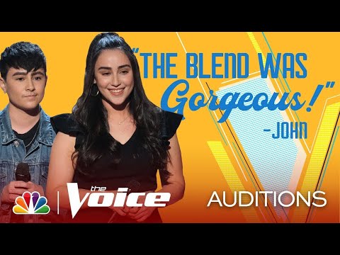 Twins Dane & Stephanie's Family Harmony is Gorgeous on The Lumineers' "Angela" - The Voice Blinds