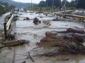 Viitura Paltinoasa Suceava