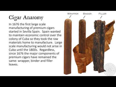 CIGARS 101 Anatomy and Vitolas