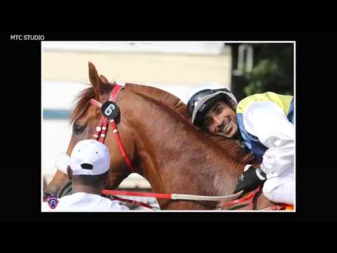 RACE MEETING 33 - PHOTO GALLERY 2017