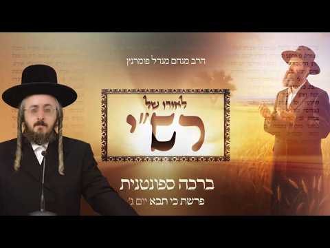 לאורו של רש"י - יום ג' פרשת כי תבא