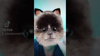 Download lagu Tiktok aduh mamae mp3