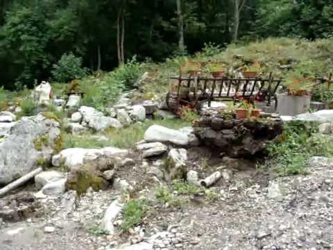 Aspecte in cadrul cursului ADMINI. PENSIUNE deschis de Alexanders in Hunedoara