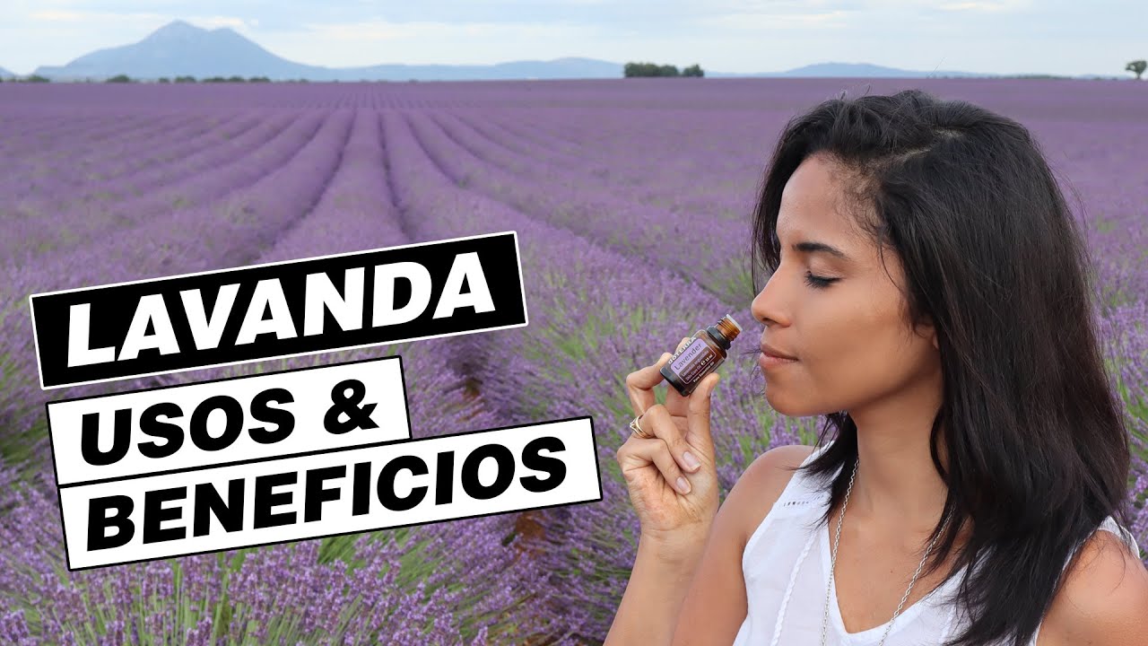 Essential oil lavender - uses and benefits