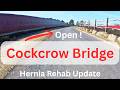 Exploring Cockcrow & Clearmount Bridges by the A3/M25 • Rehab Update