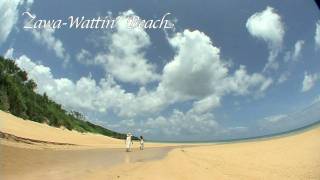preview picture of video '沖縄ビーチ 4 石垣島 Zawa-wattin' Beach'