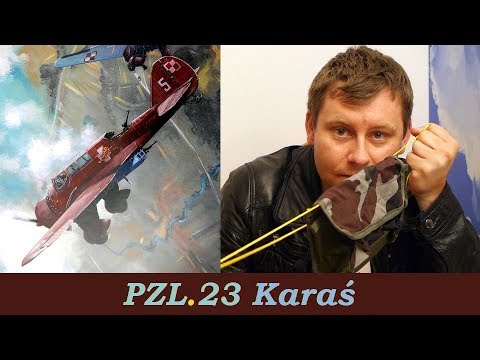 PZL.23 Karaś - samolot lotnictwa liniowego #Zabytki_Nieba