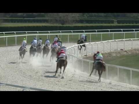 2017.04.02. 2. futam - NYERETLENEK VERSENYE (V.kat.) (szintetikus pálya)