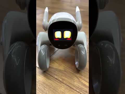 Loona. Be careful, it is so cute!