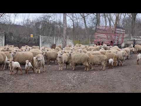 Naša priča 20.02.2020. NAJAVA