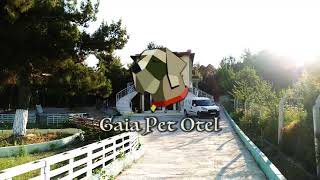 Gaia Köpek Oteli & Eğitim Merkezi