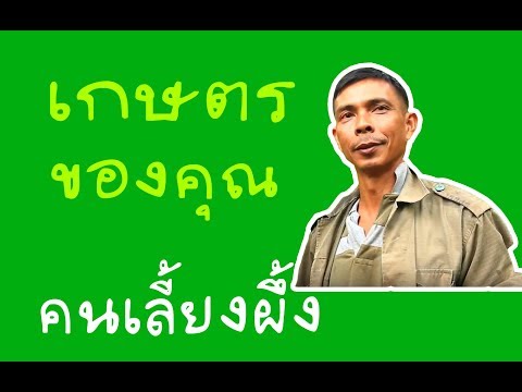 เล็ก ๆ น้อย ๆ สีบลอนด์กระเจี๊ยวใหญ่ เธอเปิดเตะผู้ชาย